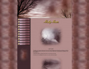 Misty Moon